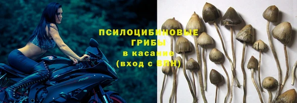 кокаин колумбия Алексин