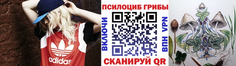 Галлюциногенные грибы мухоморы  купить наркотик  дарк нет наркотические препараты  Новоузенск 